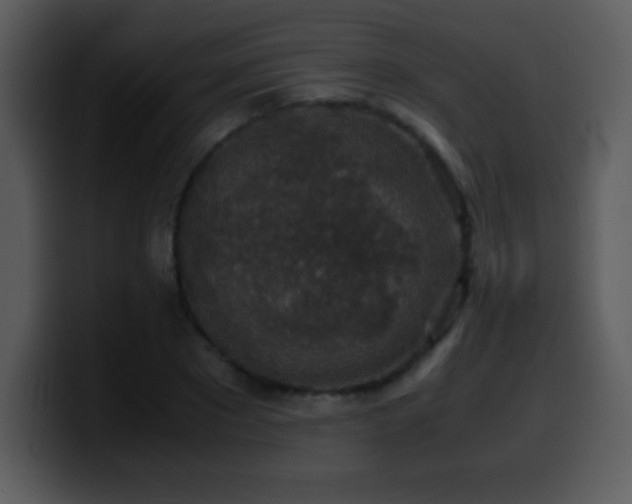 X0000100420881200806061400
