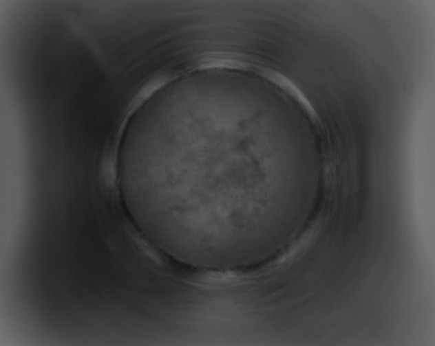 X0000100420882200806061400