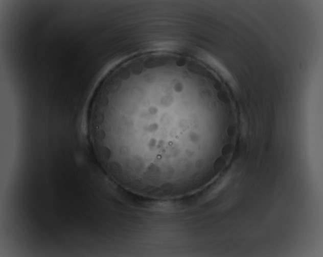 X0000100420883200806061400