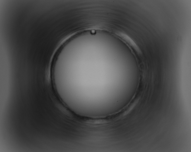 X0000100420884200806061400