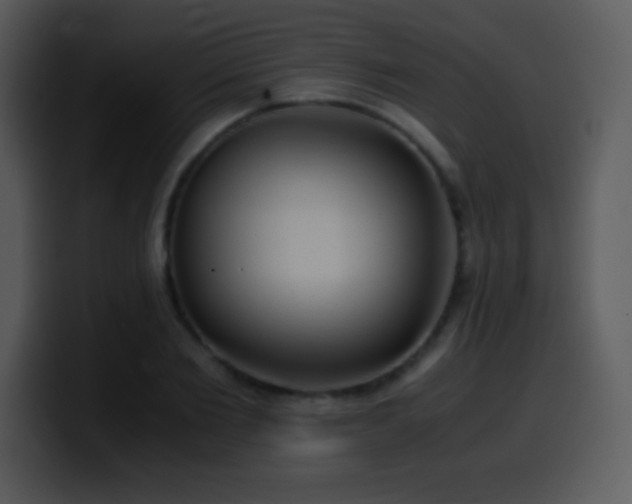X0000100420885200806061400