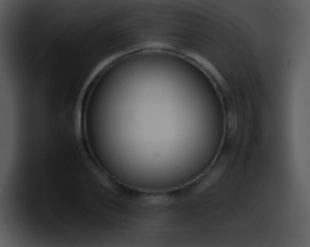X0000100420886200806061400