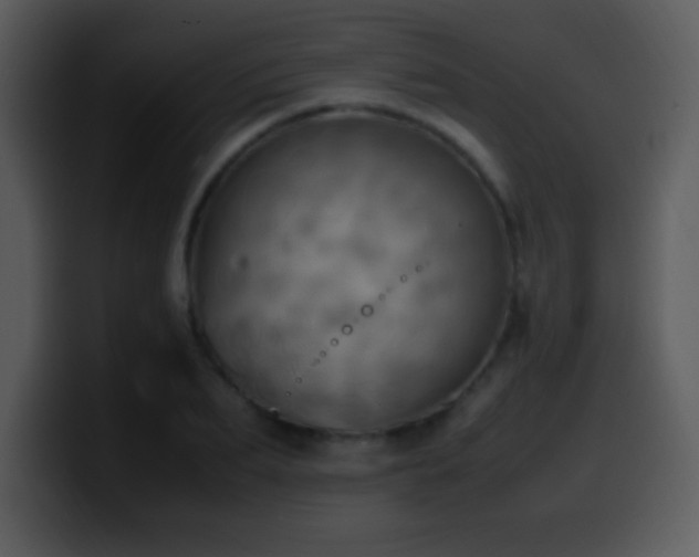 X0000100420887200806061400