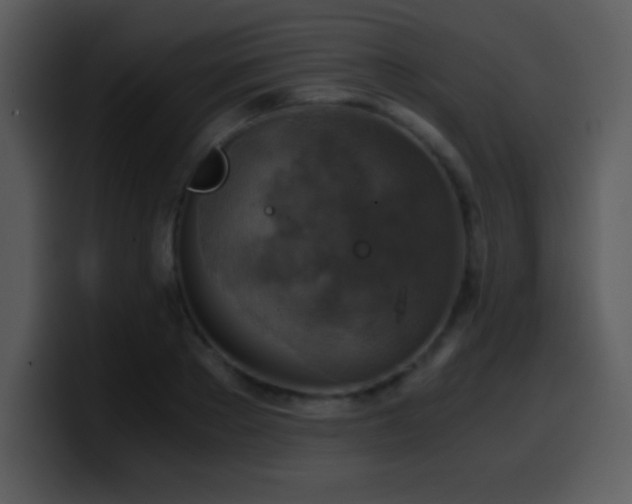 X0000100420889200806061400