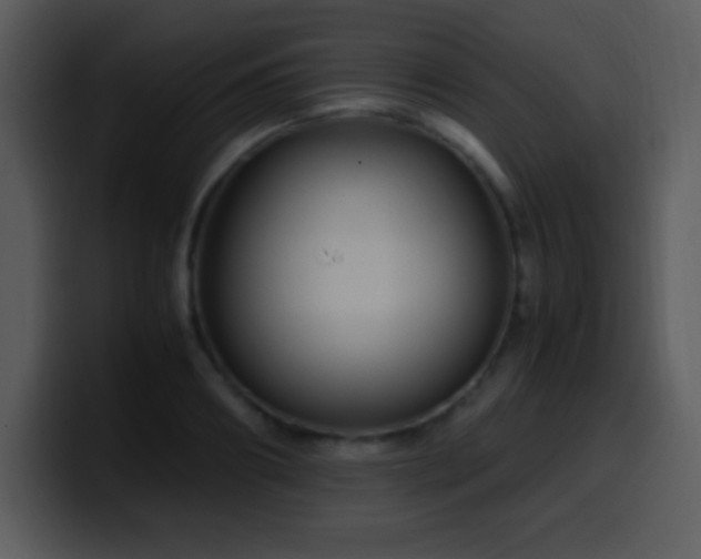 X0000100420890200806061400
