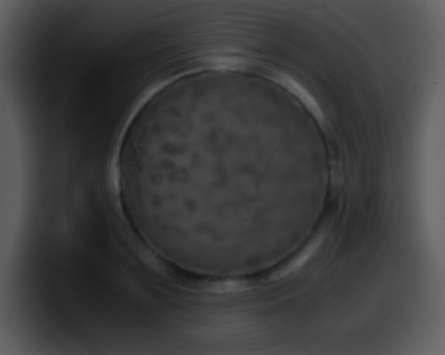 X0000100420891200806061400