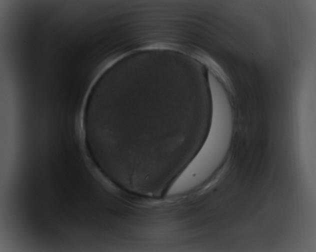 X0000100420892200806061400