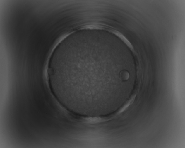 X0000100420893200806061400