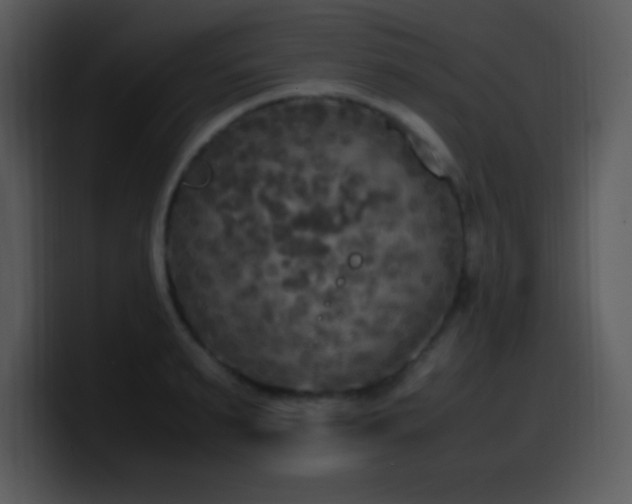 X0000100420895200806061400