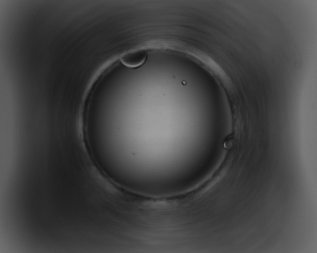 X0000100420896200806061400