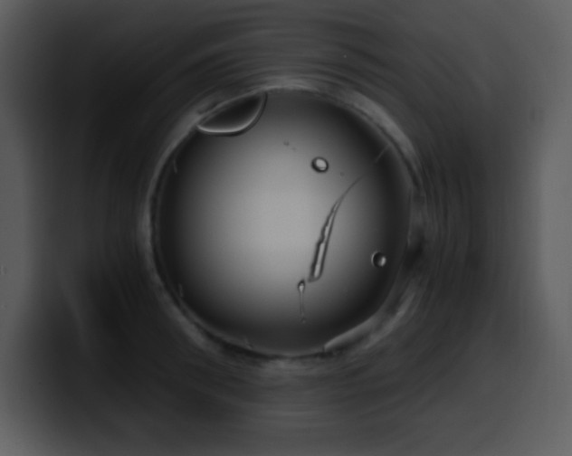 X0000100420898200806061400