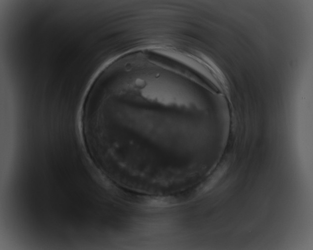 X0000100420899200806061400