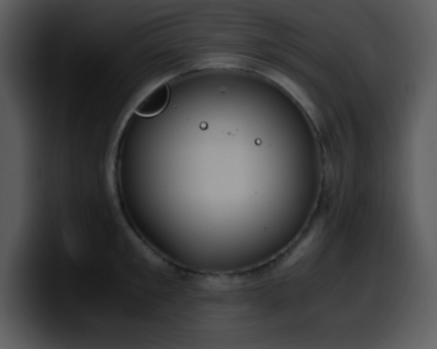 X0000100420901200806061400