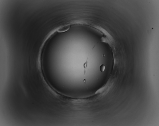 X0000100420902200806061400