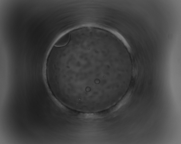 X0000100420903200806061400