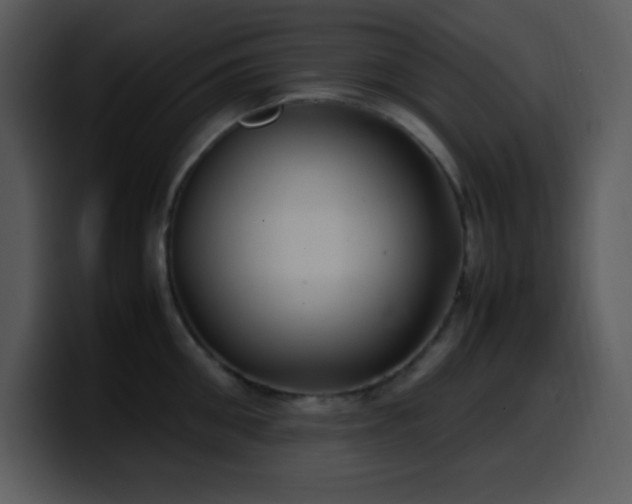 X0000100420906200806061400