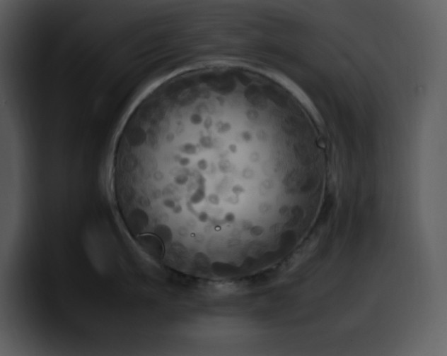 X0000100420911200806061400