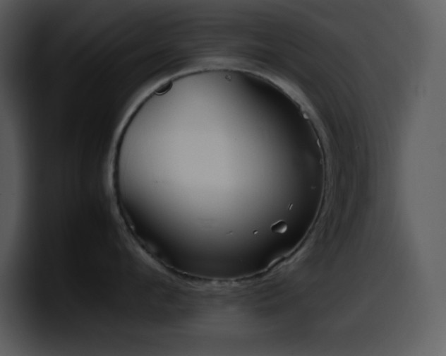 X0000100420912200806061400