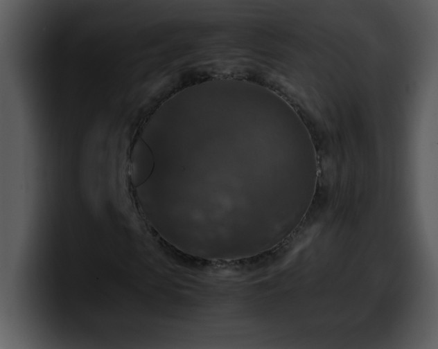 X0000100420913200806061359