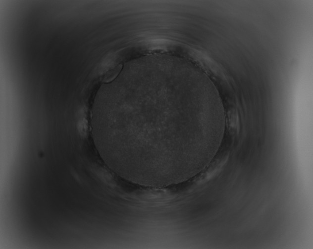 X0000100420916200806061359