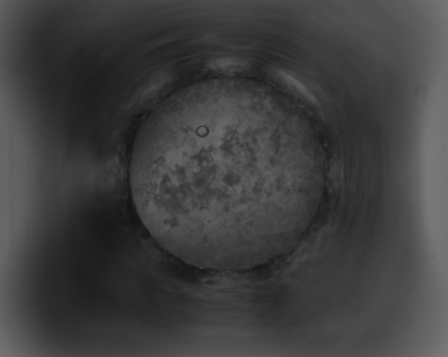 X0000100420917200806061359