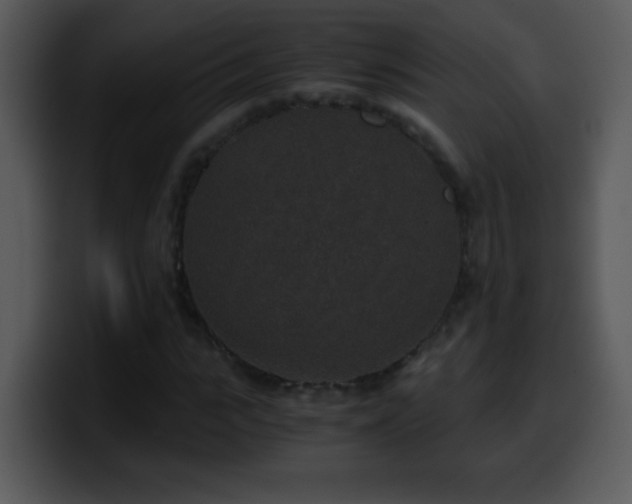 X0000100420919200806061359