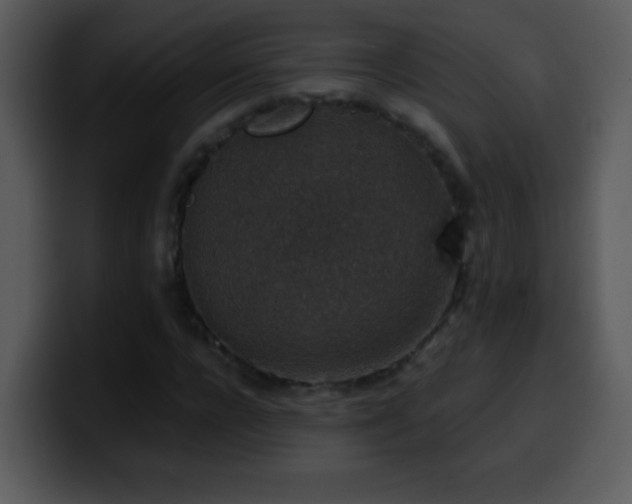 X0000100420920200806061359