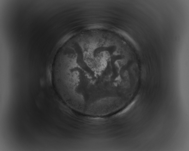 X0000100420921200806061359