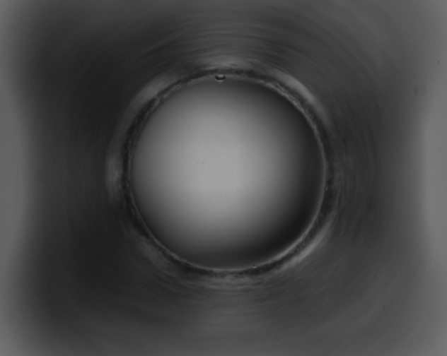 X0000100420922200806061359