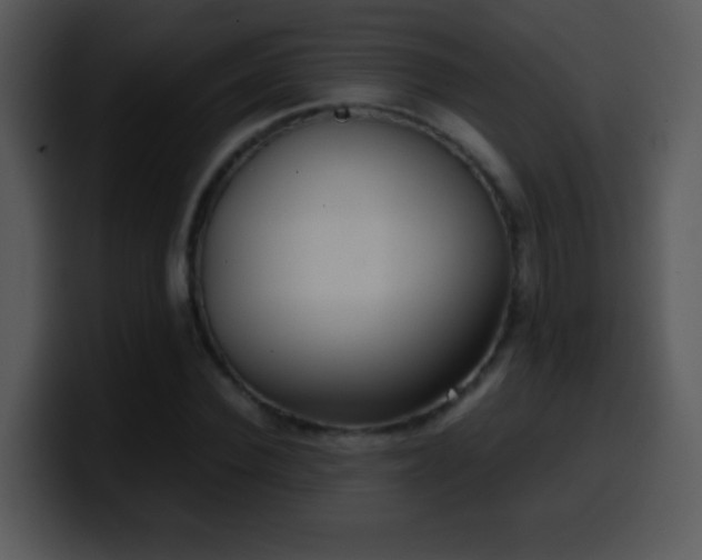 X0000100420924200806061359