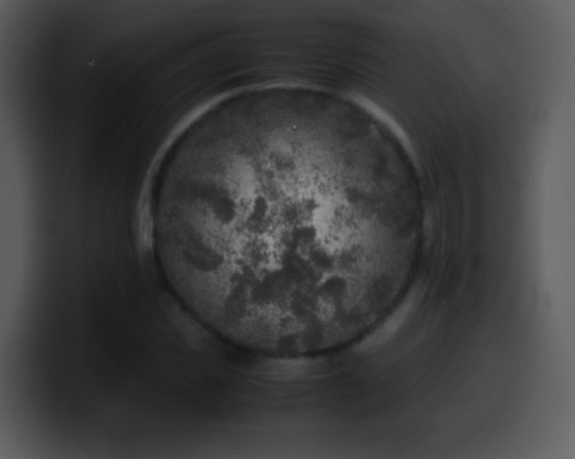 X0000100420925200806061359
