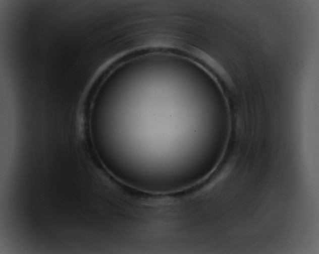 X0000100420926200806061359