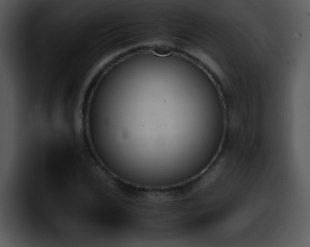 X0000100420927200806061400