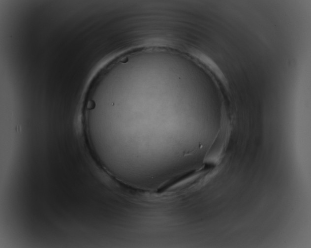 X0000100420928200806061400