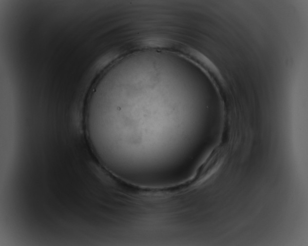 X0000100420930200806061400