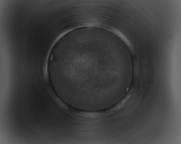 X0000100420932200806061400