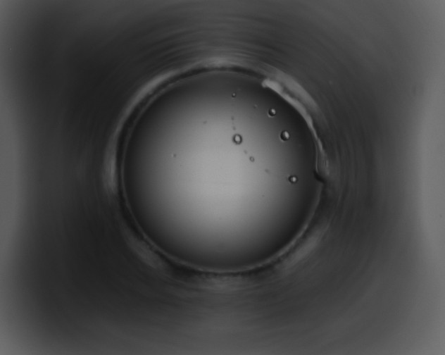 X0000100420934200806061400