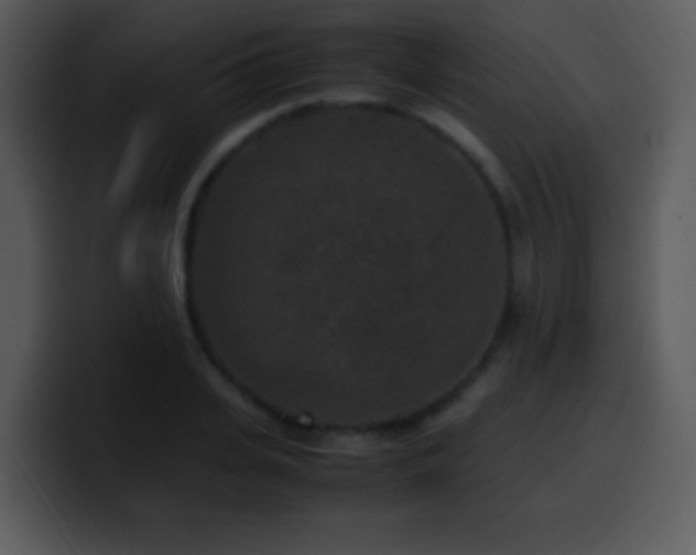 X0000100420935200806061400