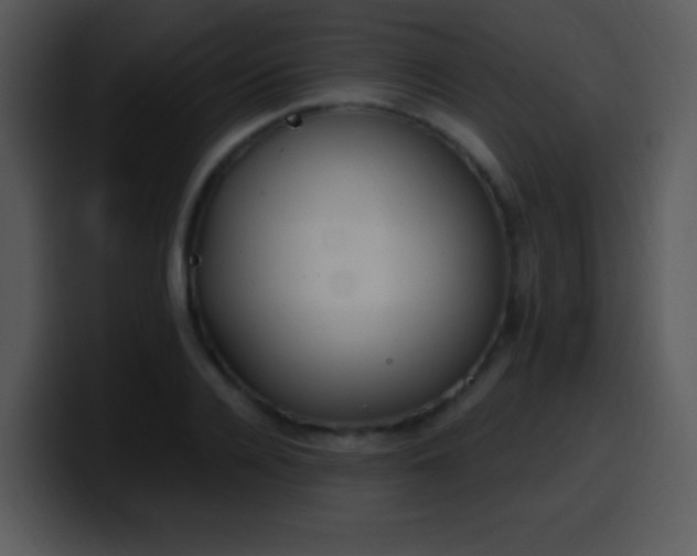 X0000100420936200806061400