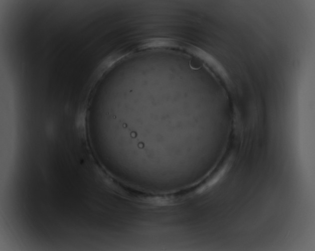X0000100420937200806061400