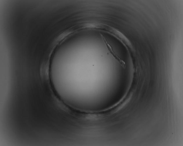 X0000100420938200806061400