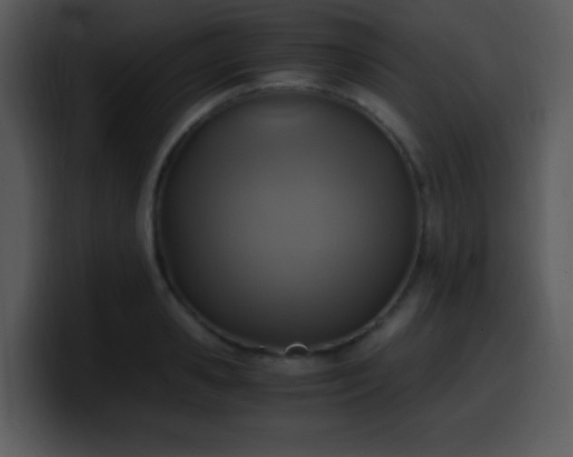 X0000100420941200806061400