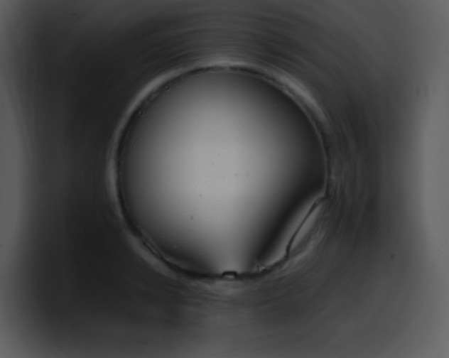 X0000100420942200806061400