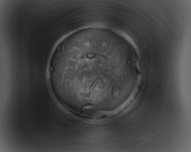 X0000100420944200806061400