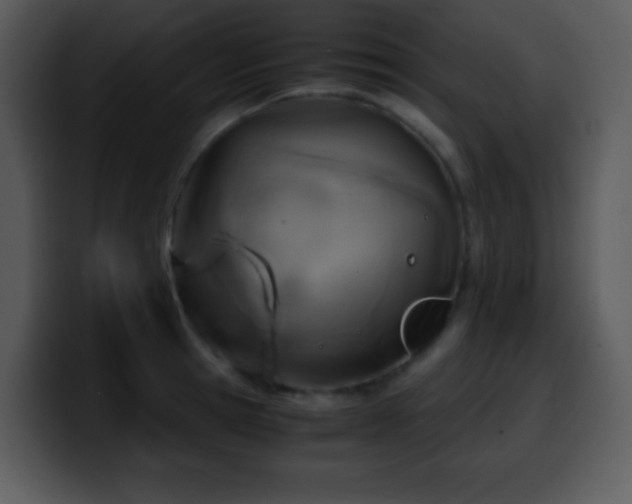 X0000100420945200806061400