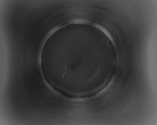 X0000100420946200806061400
