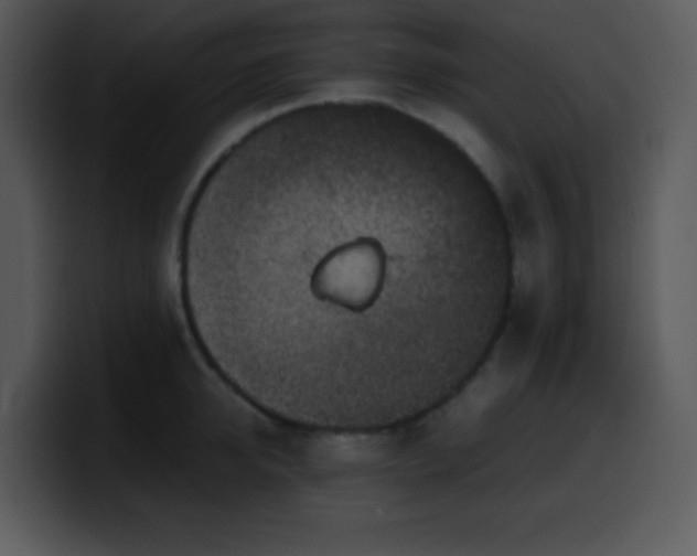 X0000100420950200806061400