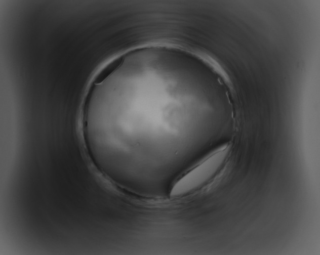 X0000100420952200806061400
