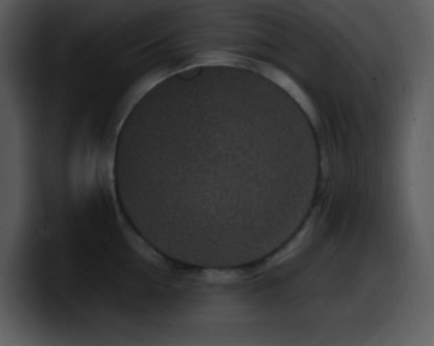 X0000100420954200806061400