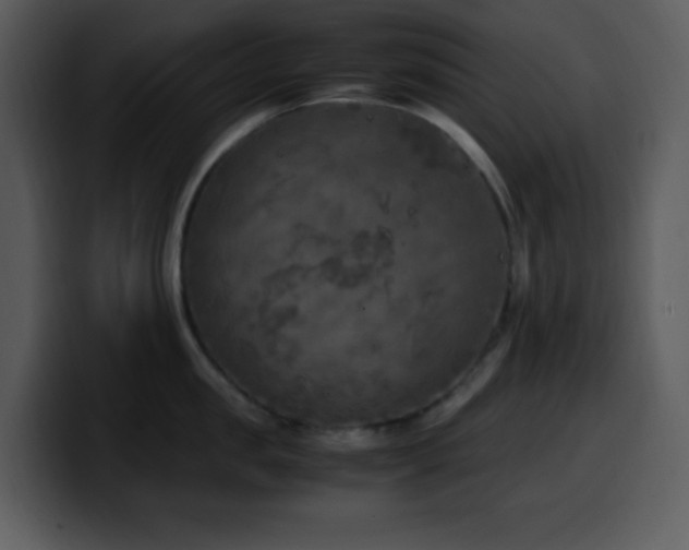 X0000100420957200806061400